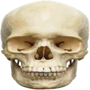 skull_irl