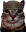 soldjacat