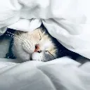 eepcat