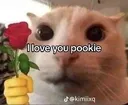 cat_romantic