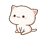 catsmiskeythepeacemaker