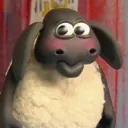 zaro