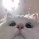 a32