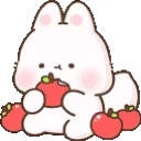bunny_eat