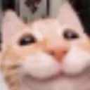 ColonThreeCat ColonThreeCat