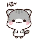 cathi