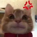 chibbiangykitty
