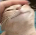 a33