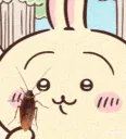usagi_yum