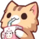 CattoSip