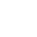 PLogoremovebgpreview