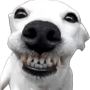 mewhenismile mewhenismile