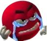 14alnstsua_angrycry