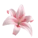 emoji_5