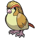 Pidgeot