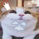 wwhebthesugarplumeria