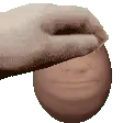 EggscarPet