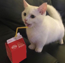 ksip