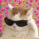 hey_cutie