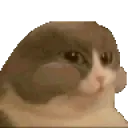 CatNum CatNum