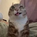 weirdcar