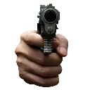 gun