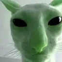 catalien
