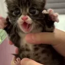 AAAAAAAAAA