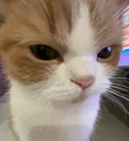 grr