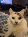 TheStare TheStare