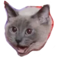 hawkscrem