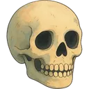 Normalskull