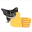 cat_thumbsup