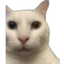 mado Discord Emoji from Apex Racing