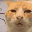 :HUH: