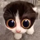 MONKA