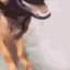 :Smelly: