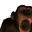 :MONKE: