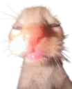 test test
