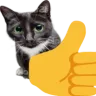 catThumbsUp catThumbsUp