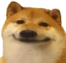 dogesmile custom emote | Nova Luna (新月)