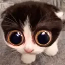 MONKA