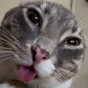 GuhCat