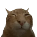 buh