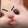 angymlem