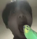 :krsw_22:
