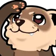 yarrO7 yarrO7
