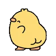GusBooty GusBooty