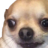 Acha_Samatva Discord emoji