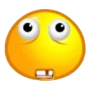 homozygous